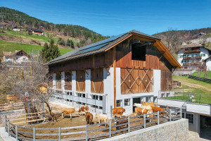 Der Hof
